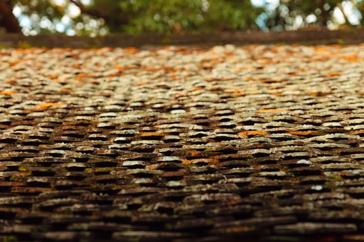 Aging shingle roof with moss growth and granule loss in Burleson, TX